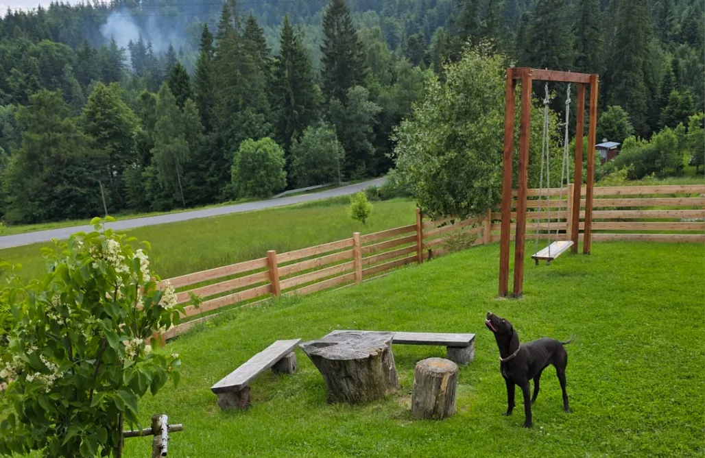 AlohaCamp Domek psia dolina 1