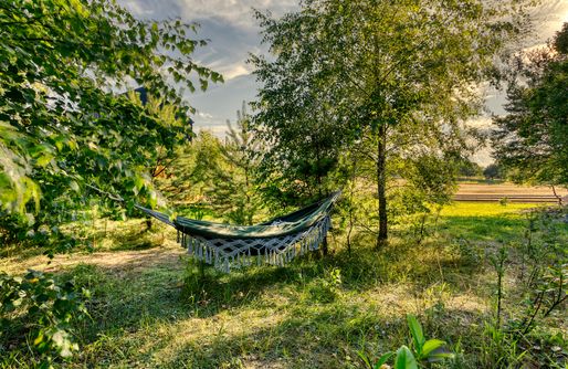 Zdjęcie obiektu Bory Za Płotem