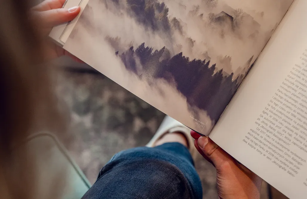 AlohaCamp Pokój Standard z łóżkiem piętrowym 1