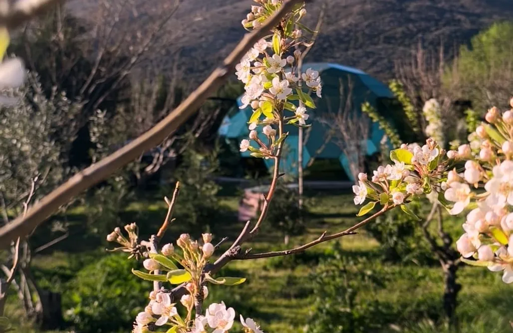 alojamientos AlohaCamp El Jardín De Las Delizias 1