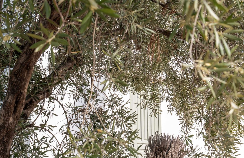 alojamientos AlohaCamp Casa Serrana - boutique guesthouse  5