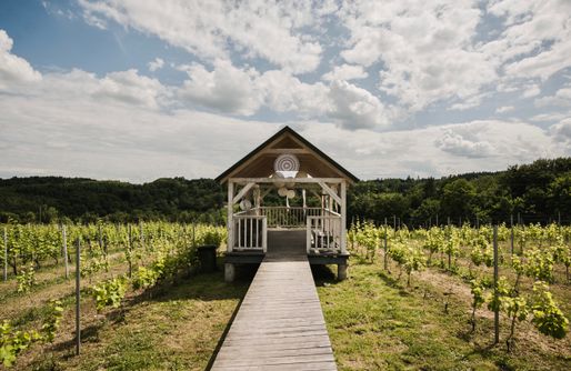 Zdjęcie obiektu Winnica Sztukówka