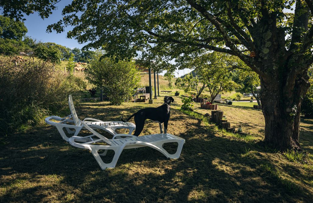AlohaCamp accommodation Finca La Naguada, tu casa rural en Infiesto 1