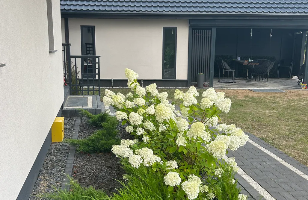 noclegi AlohaCamp Villa Borneo 5