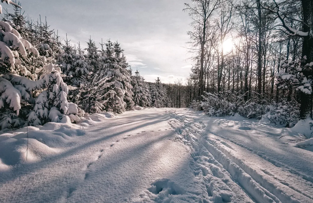 Tiny House Karkonosze Lasosfera Lasówka 1