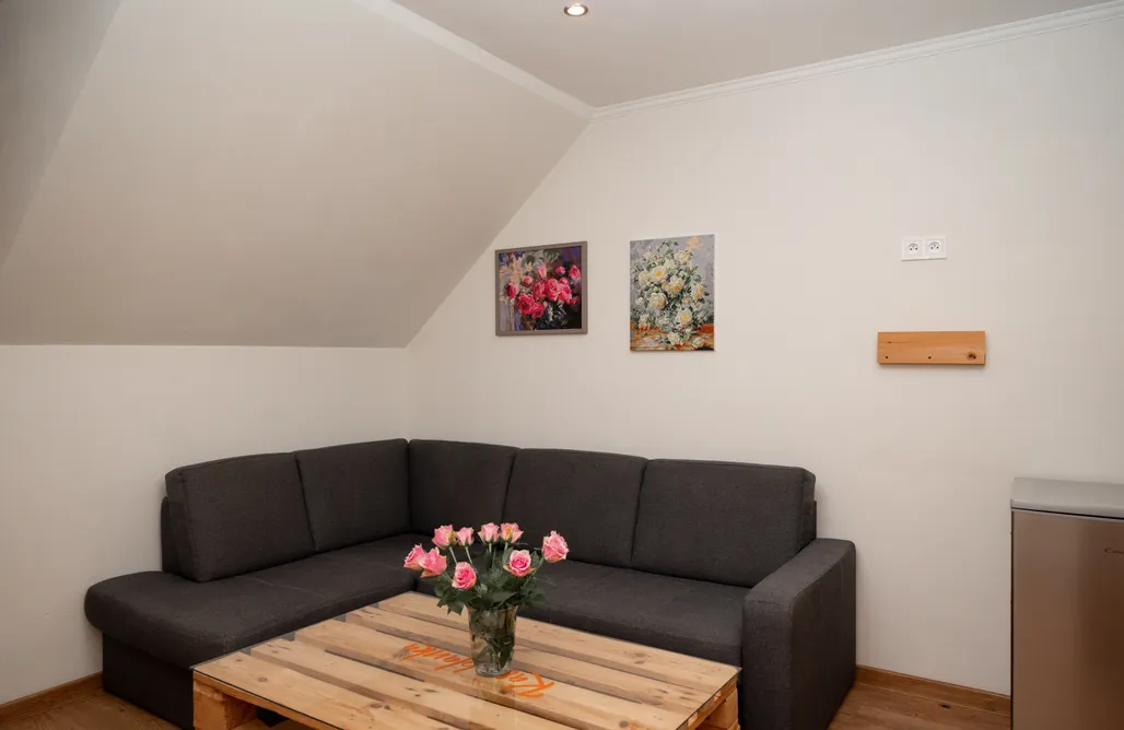 noclegi AlohaCamp Pienińska Róża 1