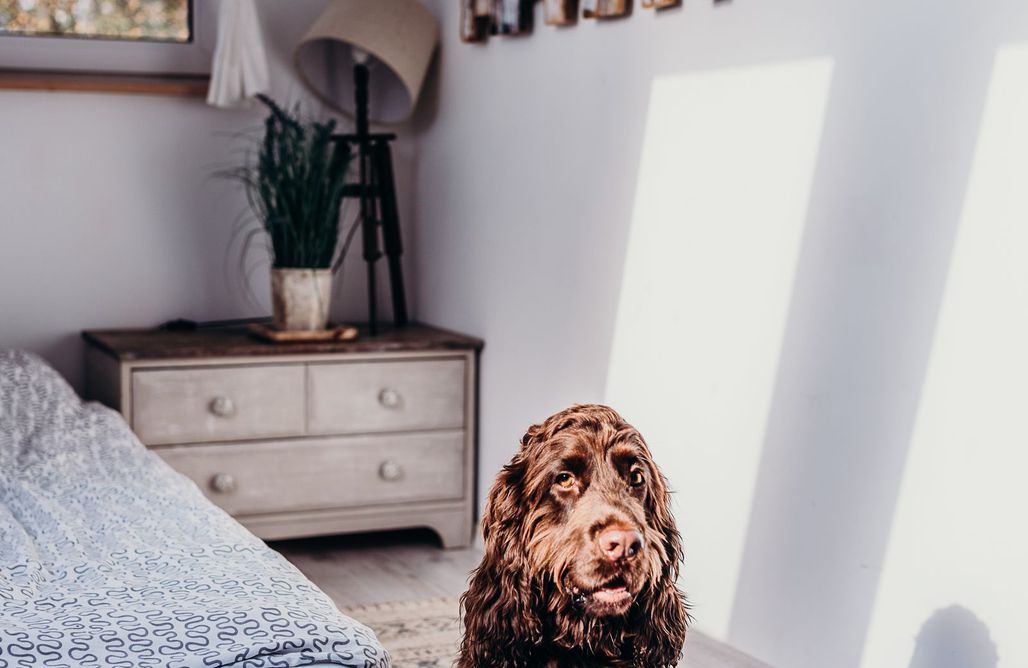 Wakacje nad Morzem Widokówka Wyrówno 1