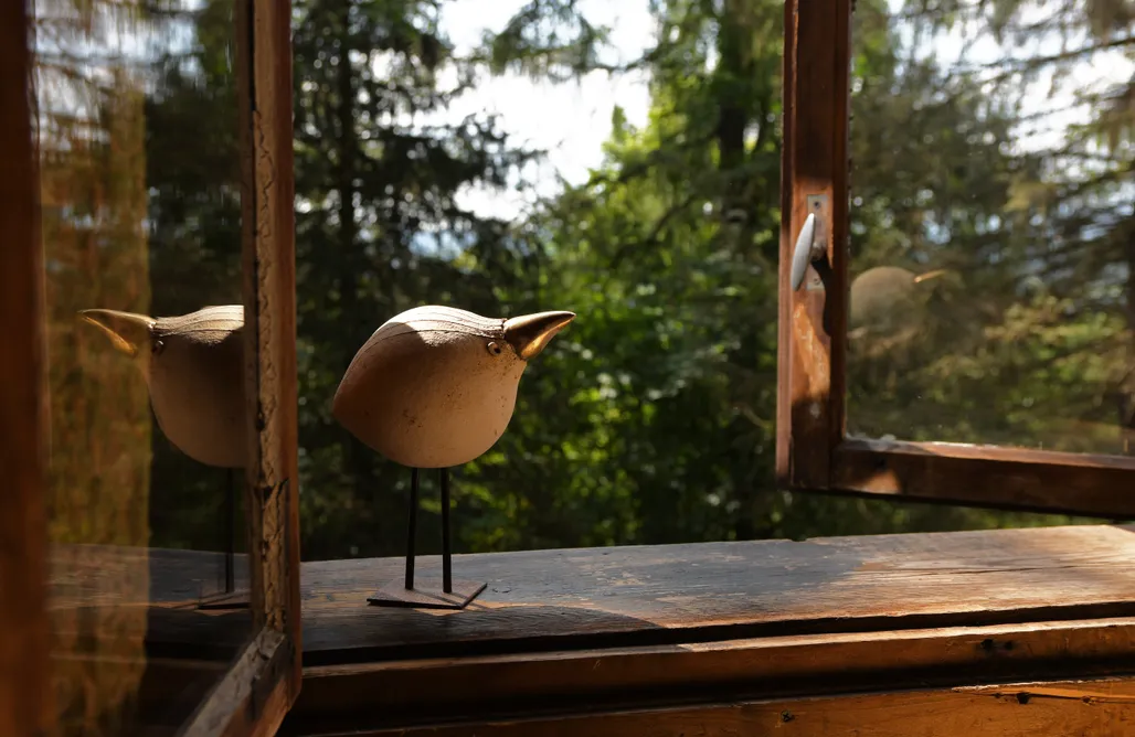 noclegi AlohaCamp Ayur Garden Lanckorona 5