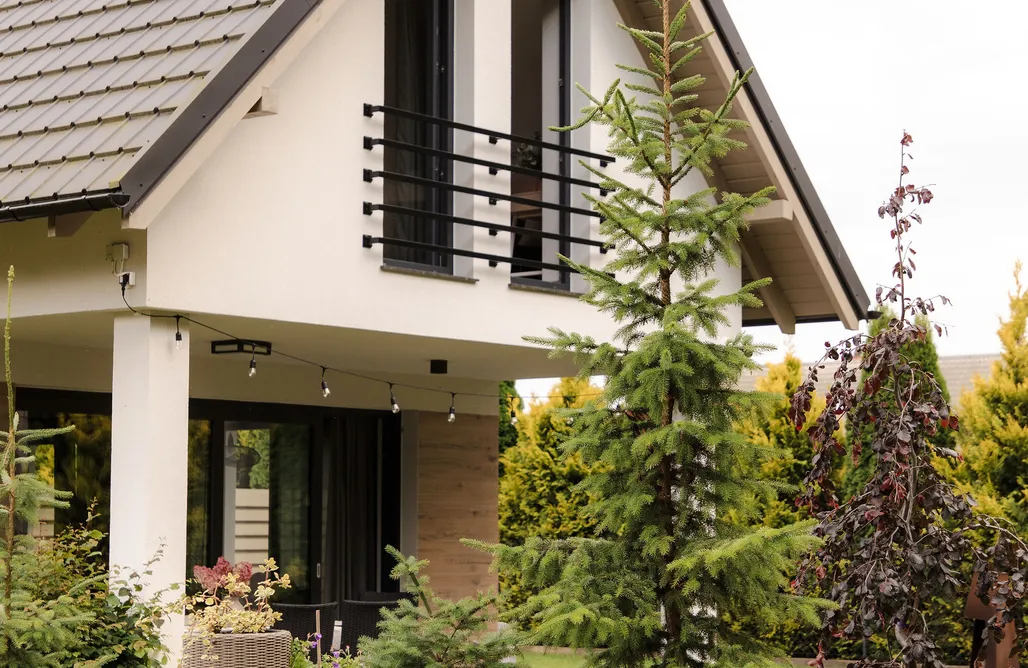 Bursztynowa przystań AlohaCamp