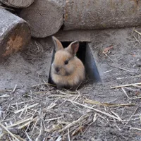Krystian gospodarz Leśna Przystań 