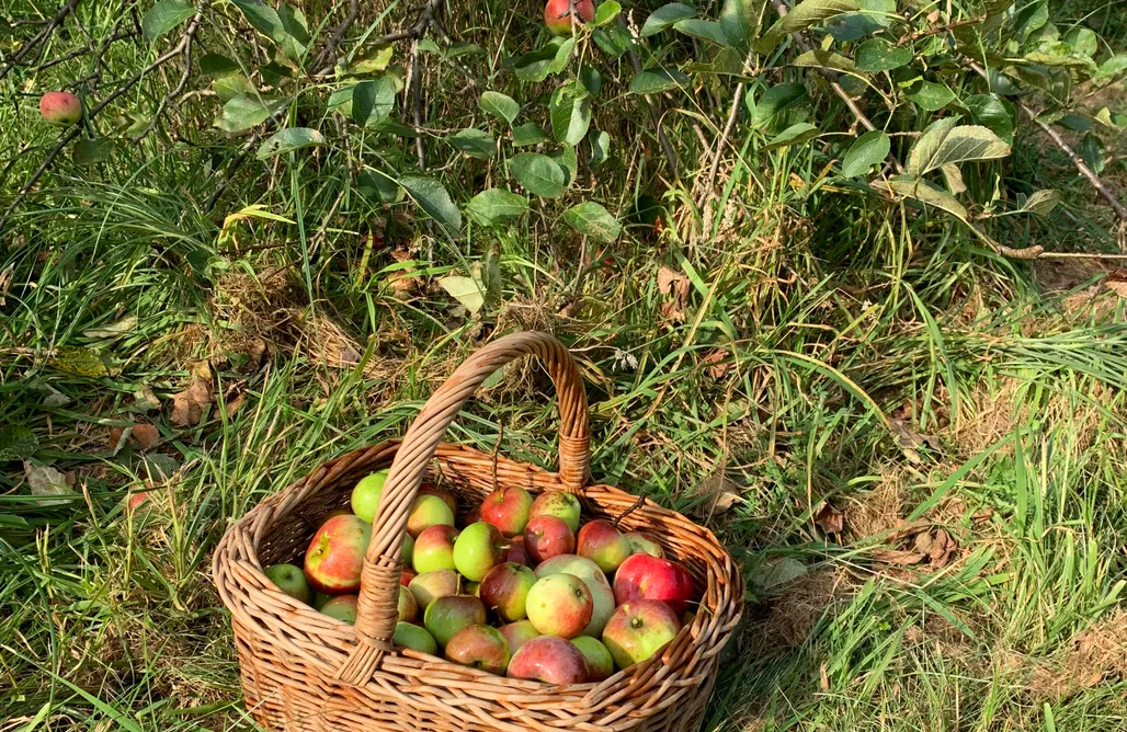 AlohaCamp accommodation Dom Góralski Uwieliny 1