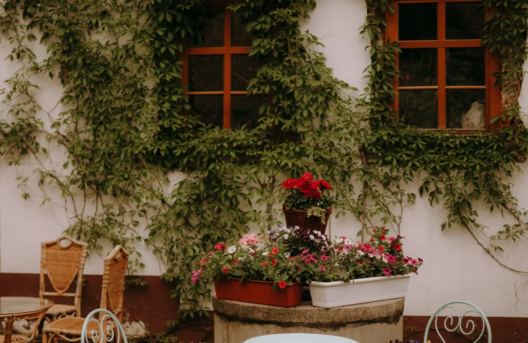 Świeradów-Zdrój Noclegi BioRezydencja 3