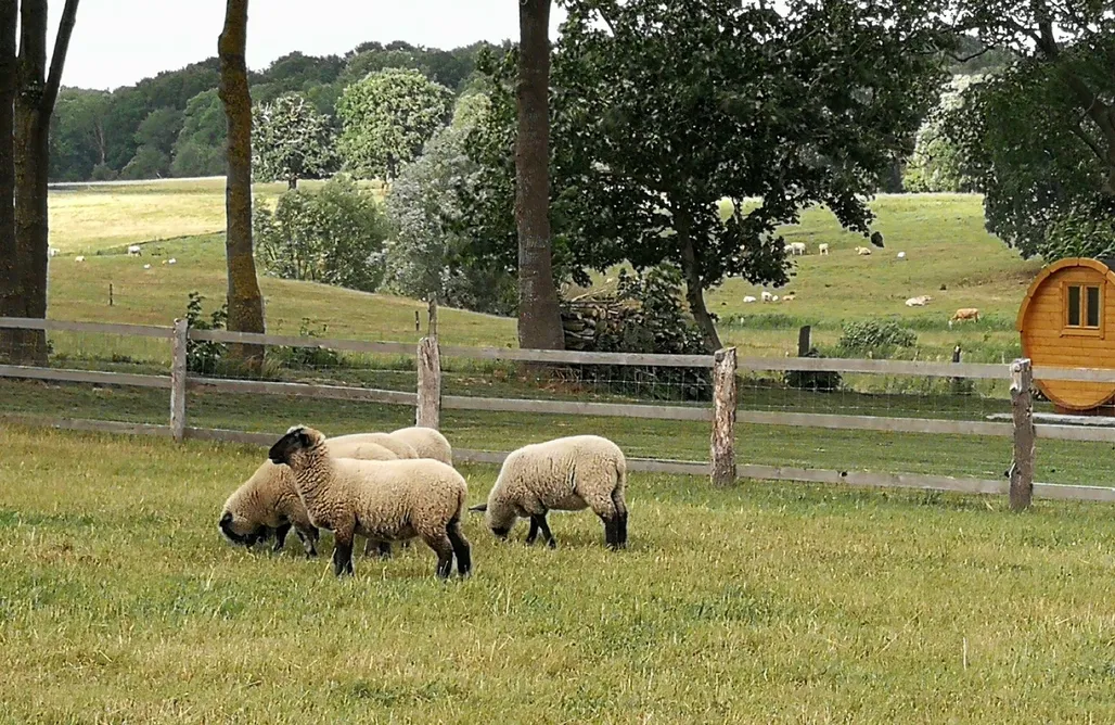 AlohaCamp accommodation Ferienhaus Willibald 5