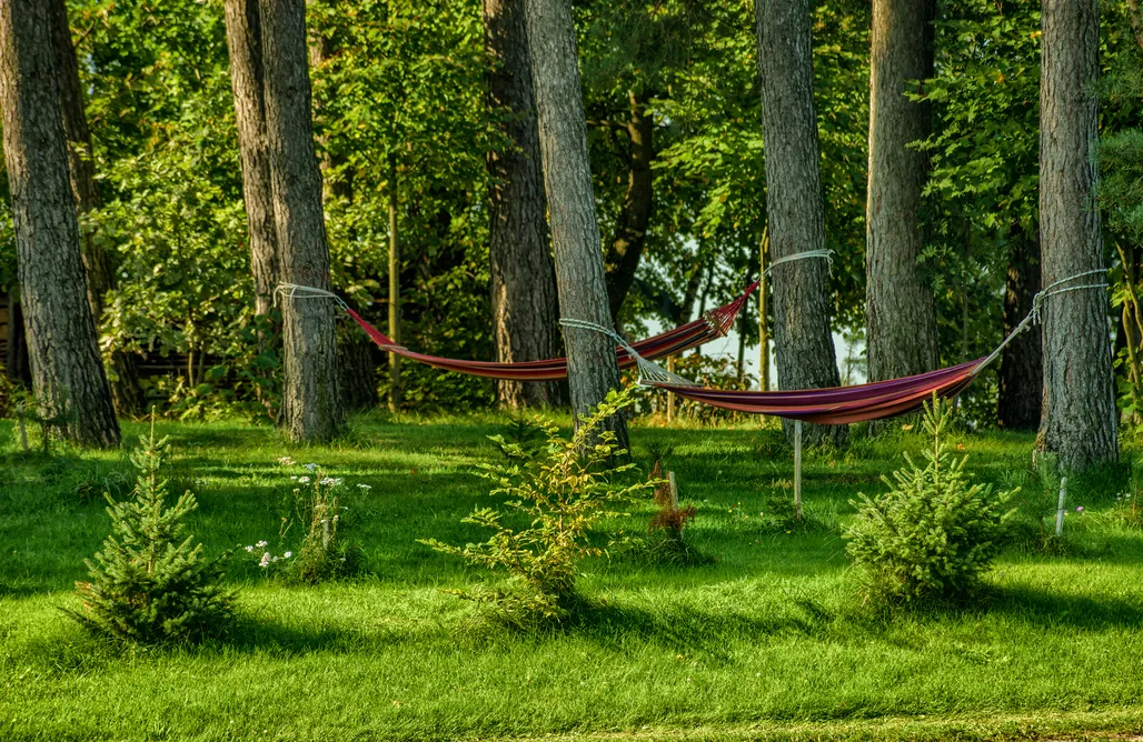 AlohaCamp accommodation Oaza Mazurska 5