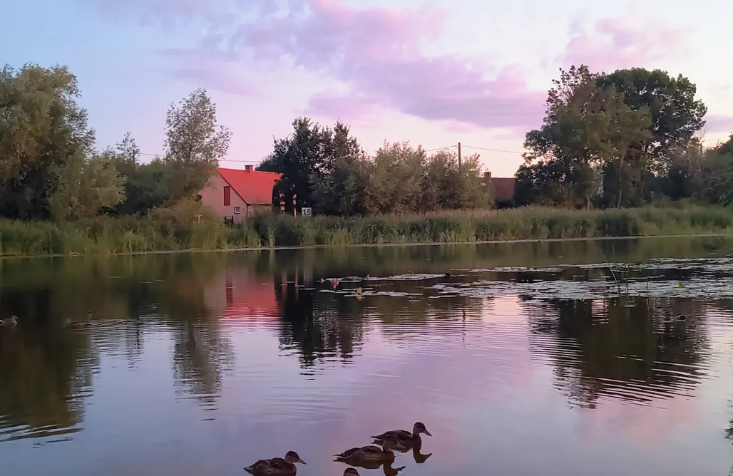 noclegi AlohaCamp Domki i Pokoje Pod Bzami Rybina I 5