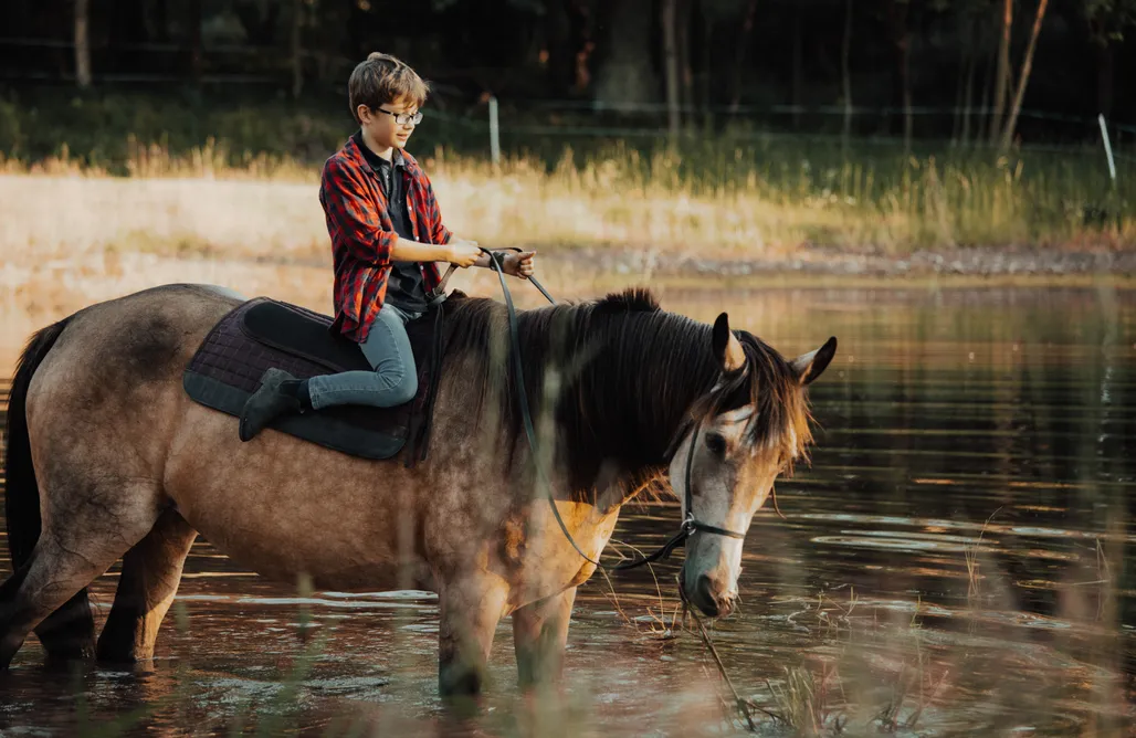 AlohaCamp accommodation Agro Pustelnik - Domek Kuźnia 1