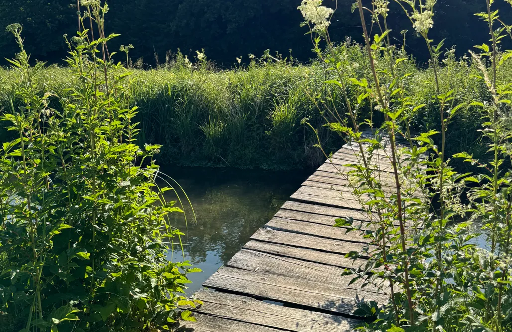 Unterkunft AlohaCamp Ferienhaus - Glücklich am Bach 4