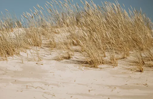 Zdjęcie obiektu Boho Sfera