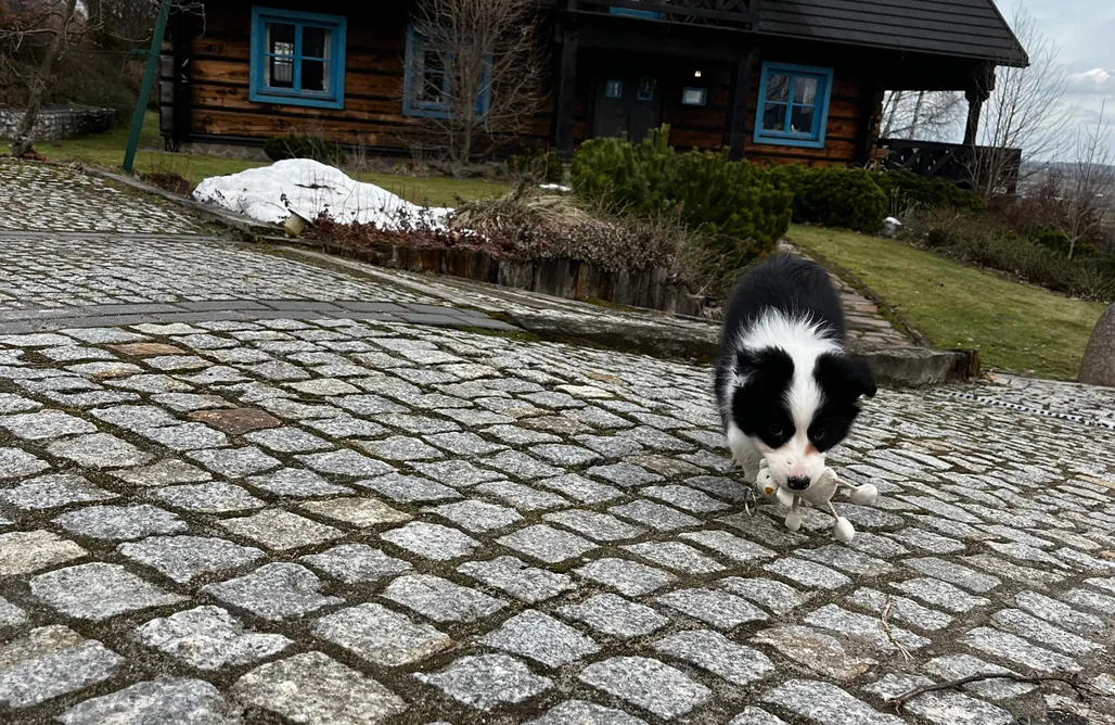 noclegi AlohaCamp Świetnokrzyska Chata 1