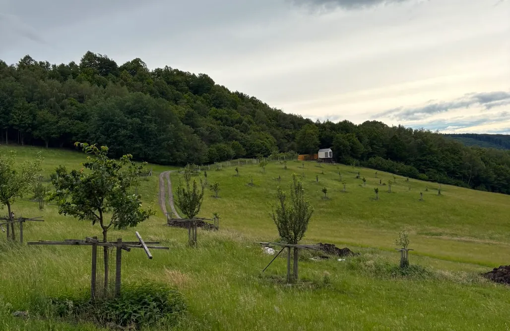 Chalet Burgenland Zimmer im Obstgarten 1