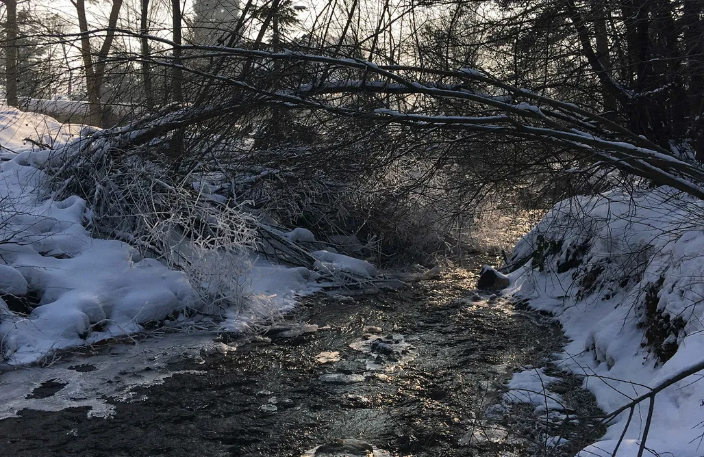 noclegi AlohaCamp Siedlisko Górska Polana z jacuzzi 1