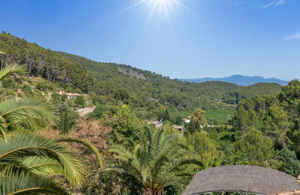 noclegi AlohaCamp El Pino  1