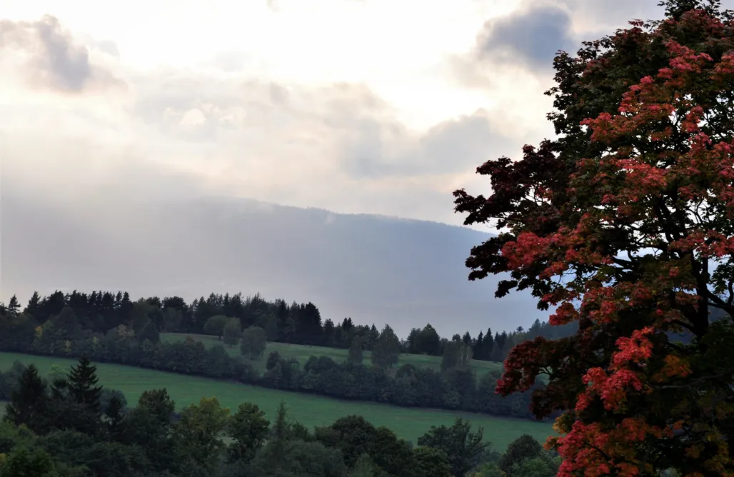 Agroturystyka Śląsk Dom Jesionów  1