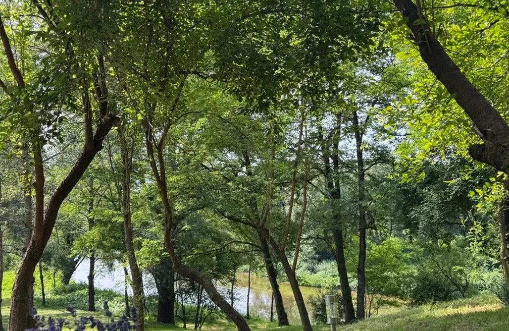 noclegi AlohaCamp Sanovia Glamping 5