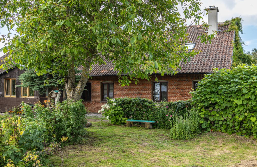 Leśne Serce AlohaCamp