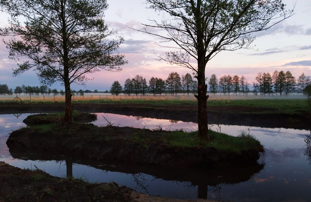 AlohaCamp Dom letniskowy 1