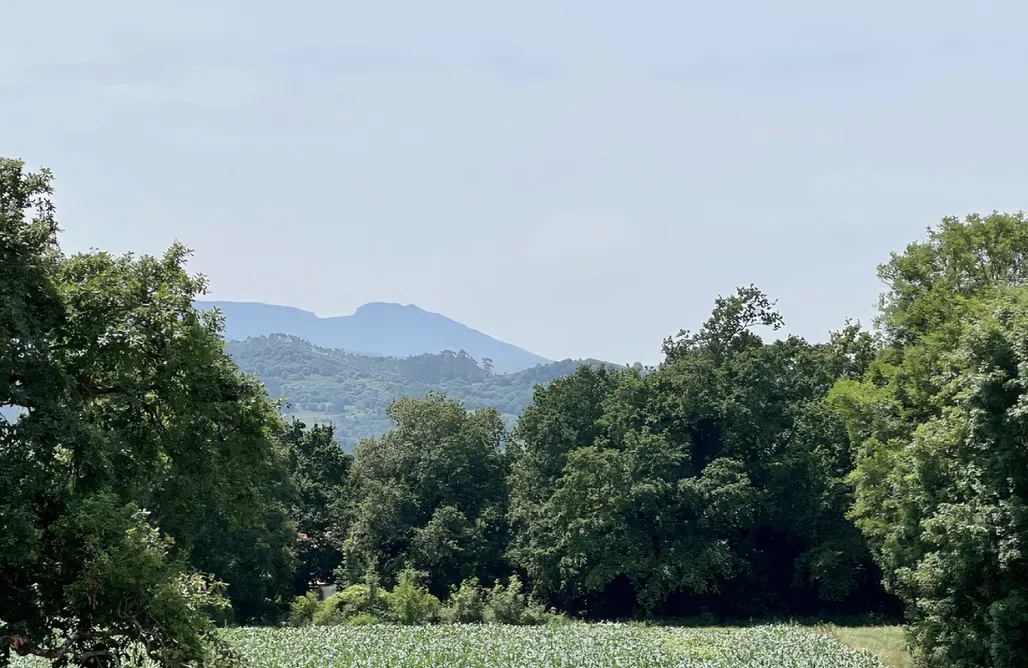 alojamientos AlohaCamp Estupenda casa en Hazas de Cesto 3