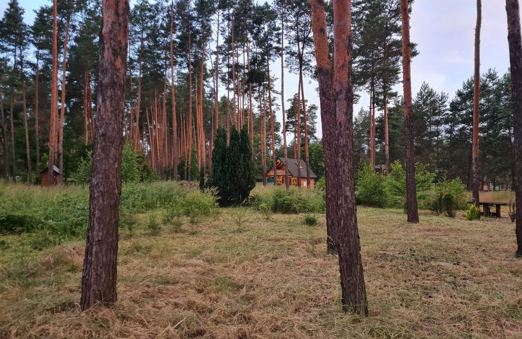 noclegi AlohaCamp Pod Czarnym Dzięciołem - dom z widokiem i prywatną balią 2