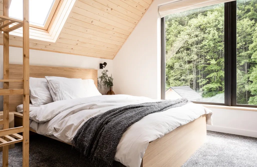 Nocleg z Psem Babia Rest - Zawoja 1