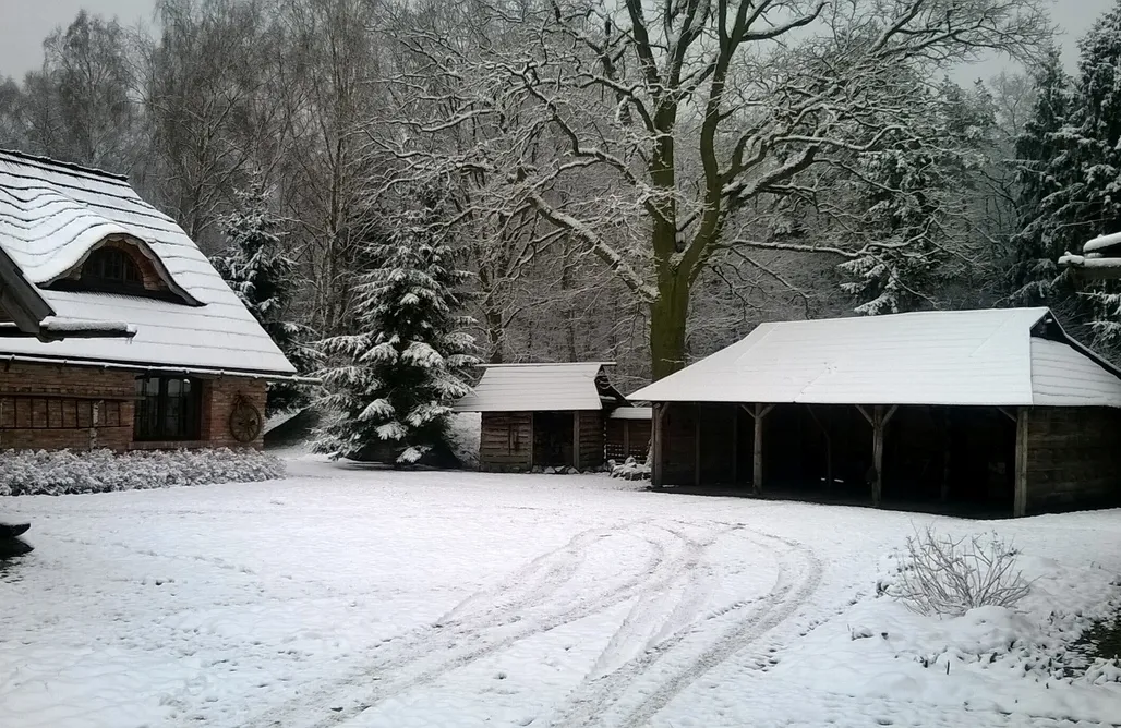 AlohaCamp Miejsce dla kamperów 1