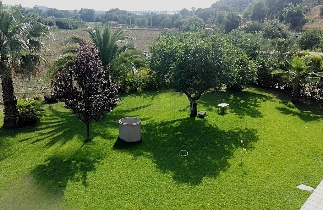 AlohaCamp Higueras Y Olivos 1