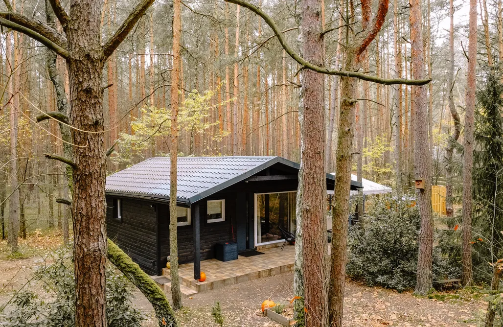 alojamientos AlohaCamp Dom w środku lasu  5