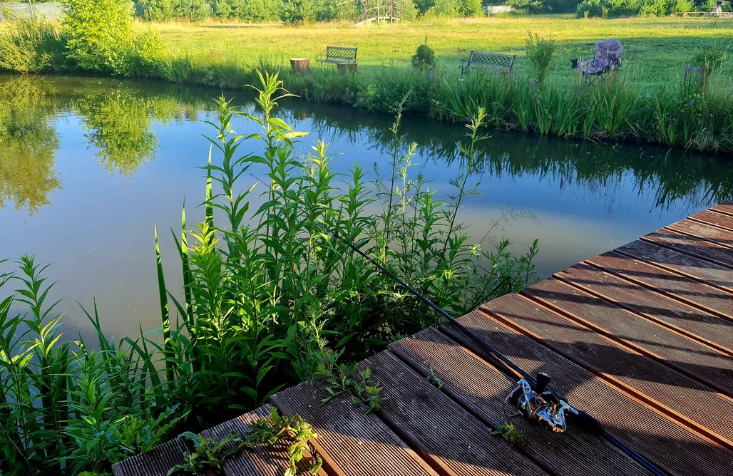 AlohaCamp accommodation Życia Smak Life's Flavour 1