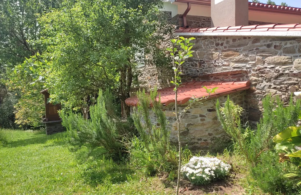 alojamientos AlohaCamp Villa El Olivo 1