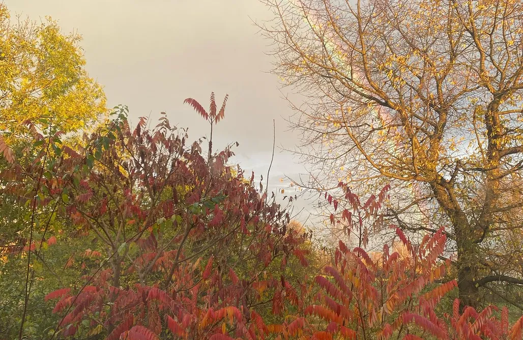 Weekend Dla Dwojga Roztocze Letnisko Klocówka Roztocze 1