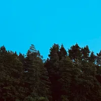 Aneta gospodarz Dobra Wola Dobra Chata