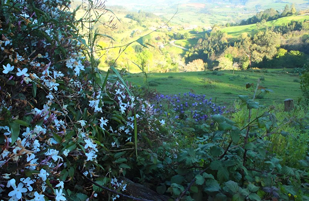 AlohaCamp Alojamiento Mirador de Peña Crespa  1