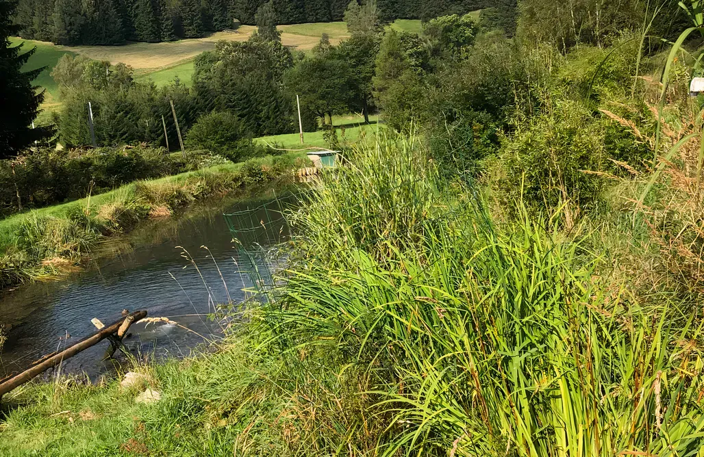 noclegi AlohaCamp Owczarnia 5