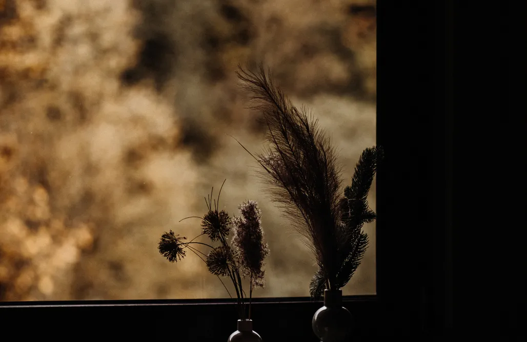 Fajne miejsce na wakacje z dzieckiem w Polsce Szumilove Domki z saunami 1