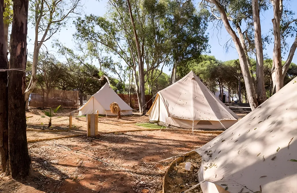 alojamientos AlohaCamp Campamento Sibley - Playa Taray 5