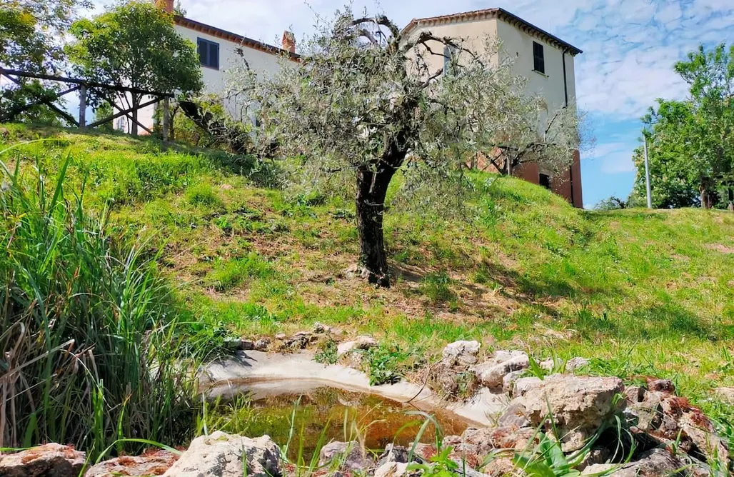 Unterkunft AlohaCamp CasAle del Pino 1
