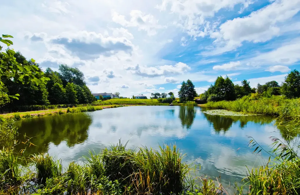 Alloggi AlohaCamp OSTOJA - Domek w drzewach Glamping Nad Stawem  1