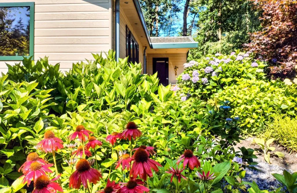 Hütte Im Wald Mieten Münster Przytulny Dom Rodzinny w Vorden 1