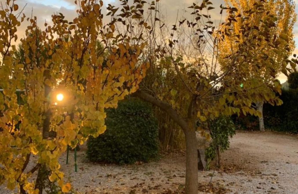 Alojamiento en Hinojares Cortijos Helao: Bungalow 1 1