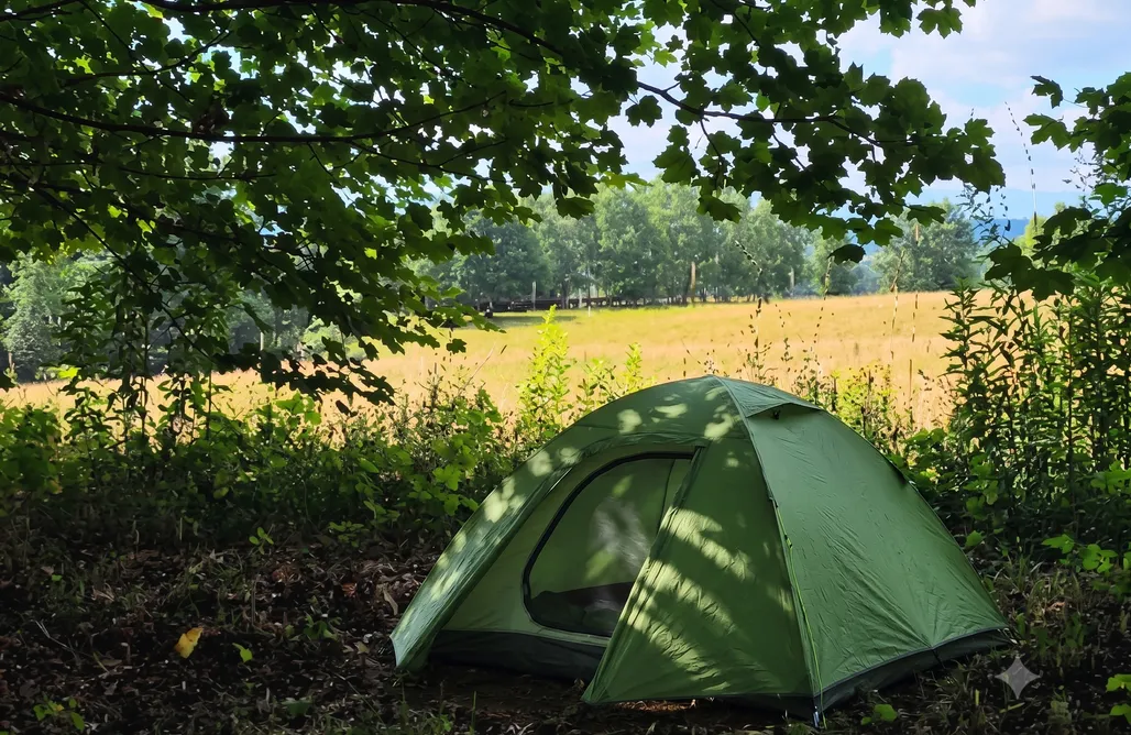 Camping Germany Ałabajka Camping 1