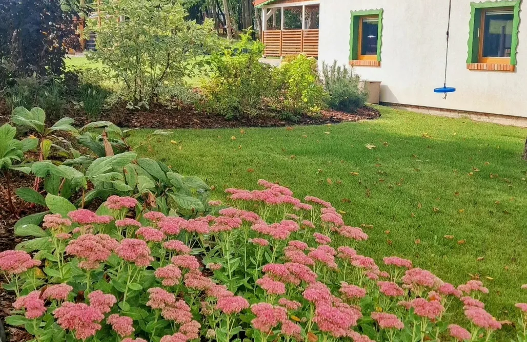 Barczewo Domki Zielony Domek 1